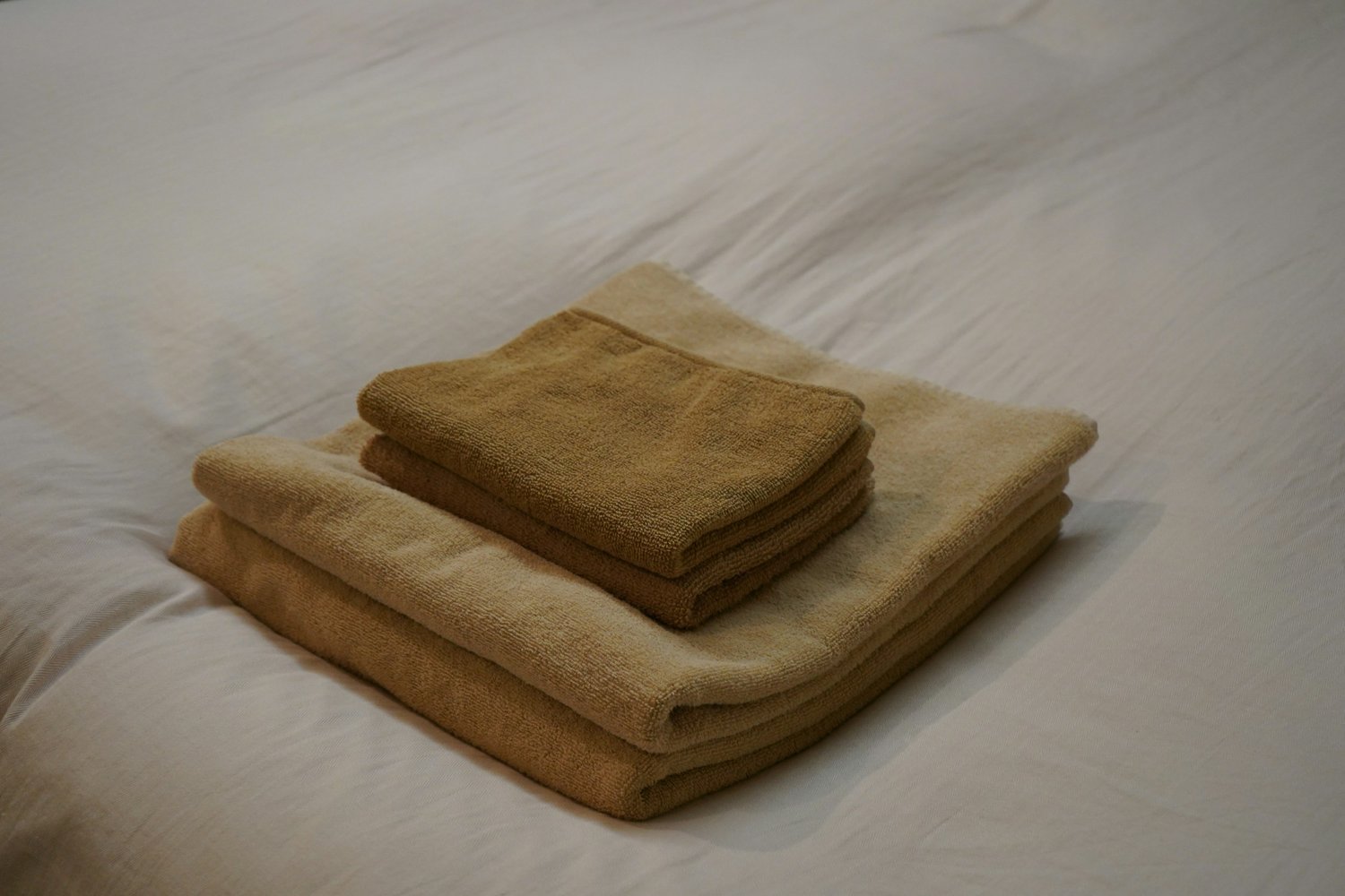 aunque qillo, te importa si el candau duerme en tu cama y te limpio las sabanas pal domingo?
